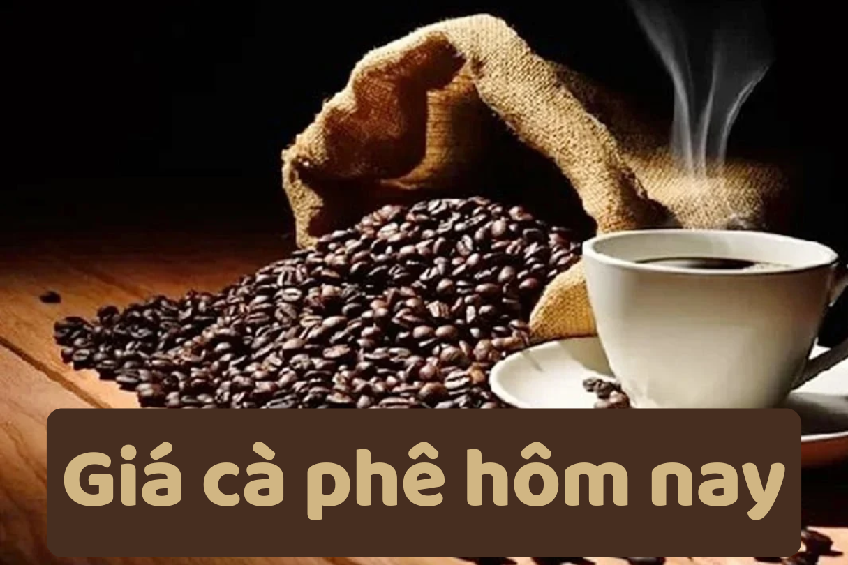 Giá cà phê hôm nay 7/6/2025: Tăng mạnh trở lại