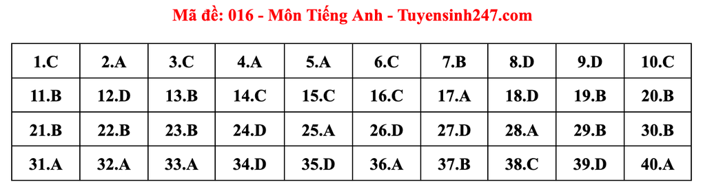 Gợi ý đáp án môn tiếng Anh thi vào lớp 10 năm 2025 của Hà Nội - 16