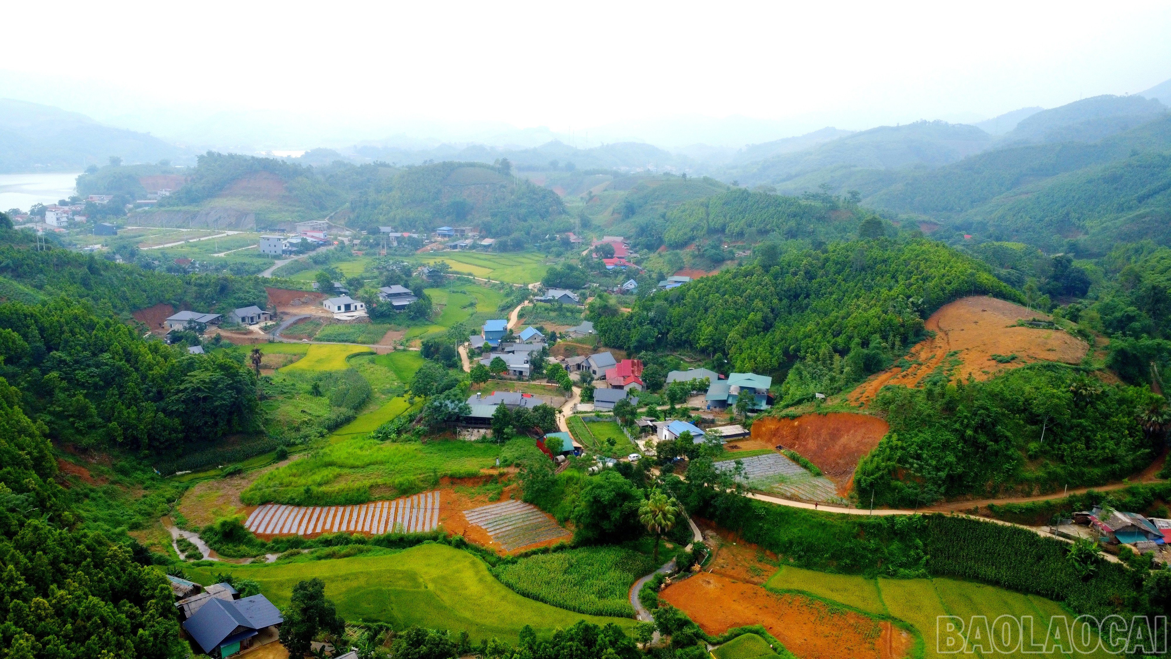 baolaocai-br_img-20250607-102703.jpg
