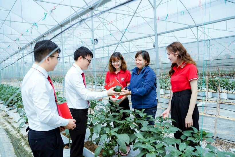 Gói vay ưu đãi về “Tín dụng xanh” khuyến khích khách hàng đầu tư nông nghiệp công nghệ cao.