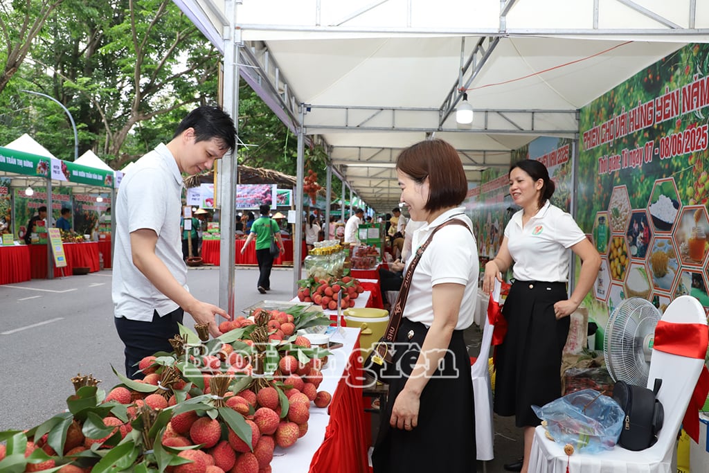 Туристы осматривают стенды на выставке тканей Hung Yen Fabric Fair 2025