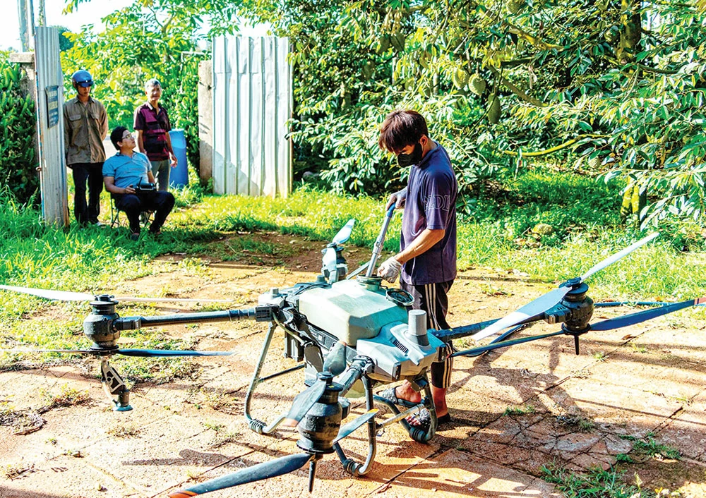 4. Khi drone đã được kiểm tra kỹ lưỡng, nông dân bơm thuốc bảo vệ thực vật vào khoang chứa của drone. Công đoạn này đòi hỏi sự cẩn trọng để đảm bảo dung dịch không tràn, đúng liều lượng và phù hợp với lập trình bay.