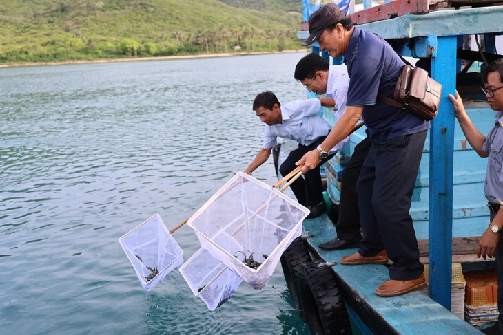 Thả hơn 400.000 cá, tôm giống tái tạo nguồn lợi thủy sản vịnh Nha Trang - Ảnh 1.