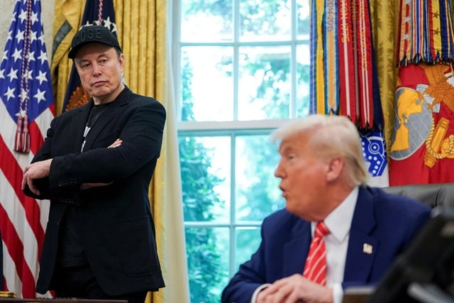 Cuộc chiến giữa Donald Trump và Elon Musk tác động thế nào đến Hollywood? - Ảnh 1.