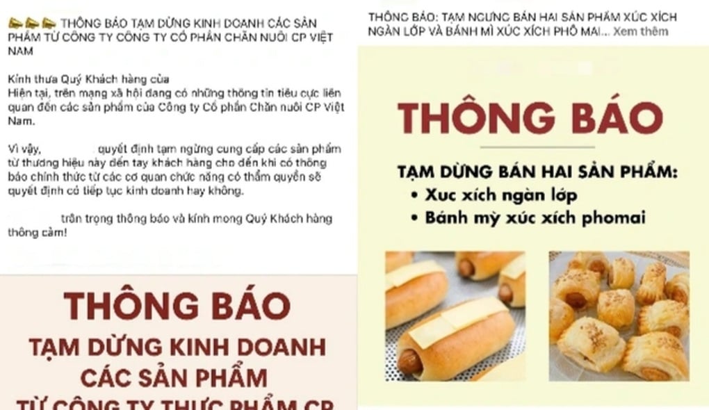Nguyên Phó Thủ tướng Đức làm sếp Vietjet; bầu Đức tính trồng dâu nuôi tằm - 2