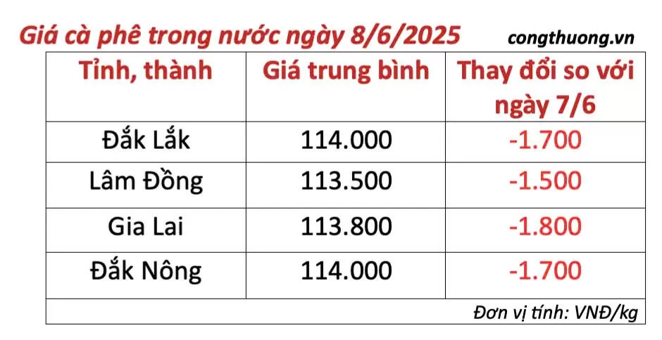 Giá cà phê hôm nay 8/6/2025, trong nước