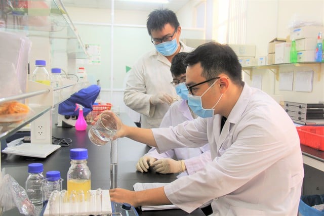 6 tiến sĩ tốt nghiệp ĐH top 100 thế giới ‘đầu quân’ cho ĐH Quốc gia TP.HCM - Ảnh 1.