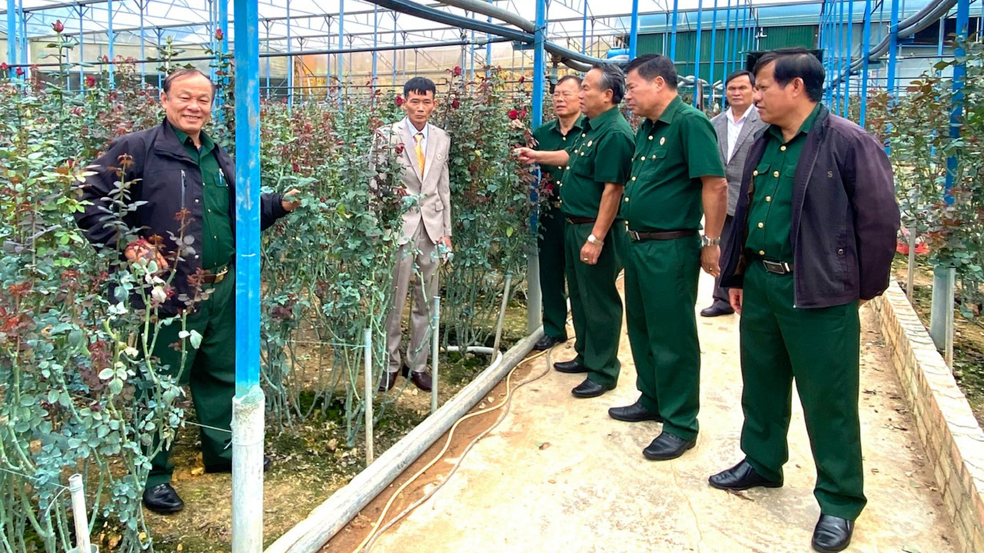 Hội CCB tỉnh tham quan vườn hoa hồng của CCB Đỗ Đình Lợi (ông Lợi thứ hai, từ trái sang)