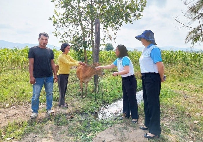 Quỹ Hỗ trợ phụ nữ phát triển tỉnh Gia Lai đồng hành cùng phụ nữ nghèo- Ảnh 2.