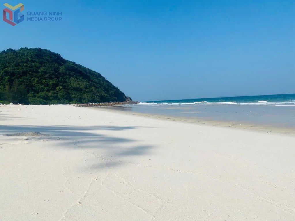 ឆ្នេរសមុទ្រដ៏វែងនៃឈូងសមុទ្រ Bai Tu Long គឺជាជម្រកនៃសត្វសមុទ្រជាច្រើនប្រភេទ។