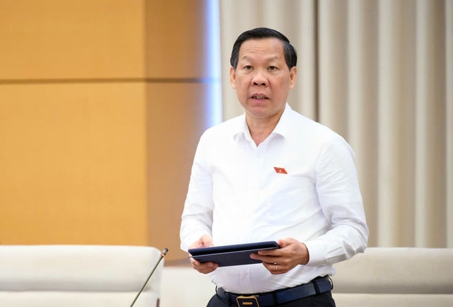 dai-bieu-mai.jpg