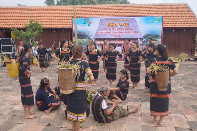 Hiểu biết về sâm Ngọc Linh của người Kon Tum trở thành di sản- Ảnh 3.