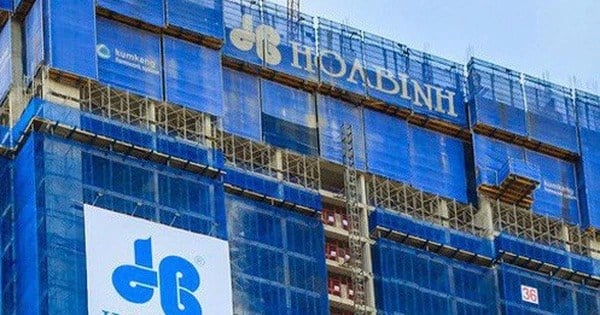 Генеральный директор Hoa Binh Construction хочет продать все акции - фото 1