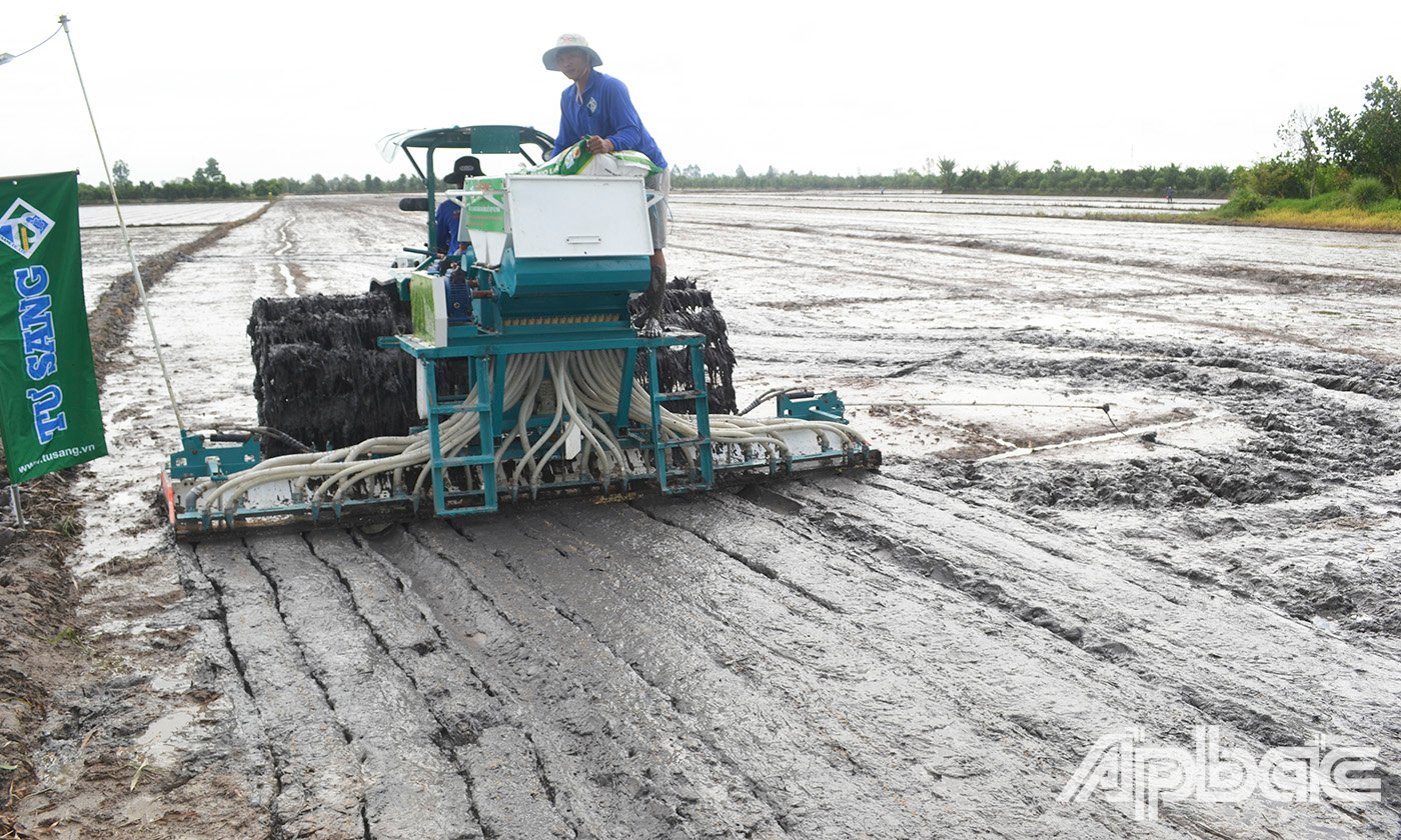 Trình diễn mô hình canh tác lúa chất  lượng  cao  và  giảm  phát  thải  -  giải pháp sạ hàng và kết hợp bón vùi phân.