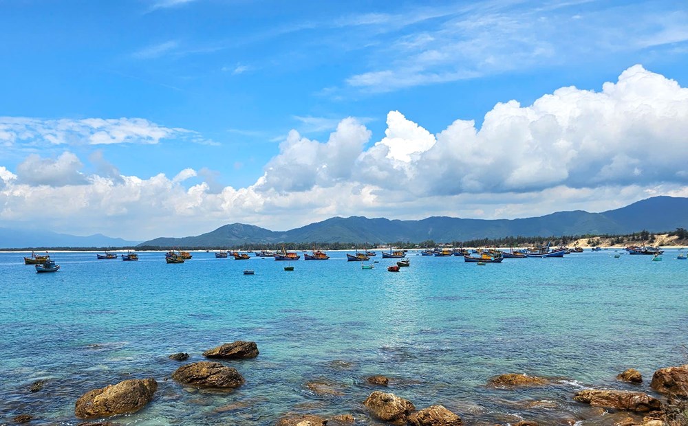 Descubra Mui Vi Rong, la majestuosa obra maestra natural de Binh Dinh - foto 4