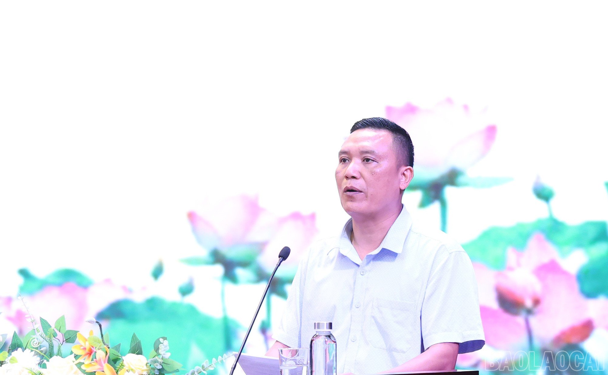 baolaocai-br_img-1833.jpg
