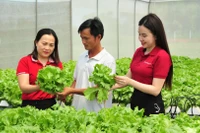 Grâce aux prêts d’Agribank, de nombreux particuliers et ménages ont pu développer efficacement des modèles de production et d’affaires, échapper à la pauvreté et devenir riches.
