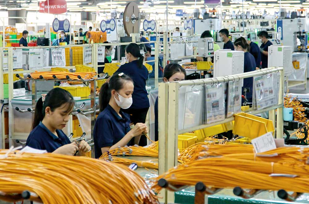 Các doanh nghiệp hoạt động trong các khu công nghiệp đang phát triển ổn định và bền vững, đóng góp lớn vào tăng trưởng kinh tế của tỉnh.

