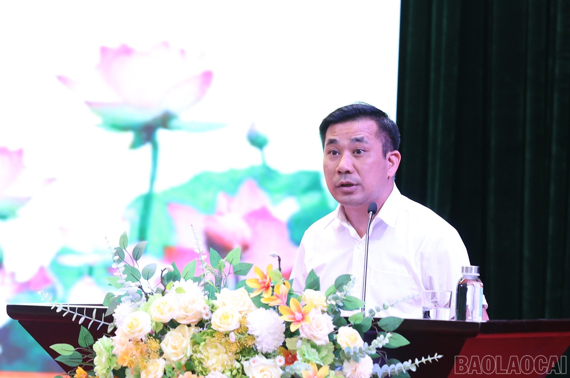 baolaocai-br_img-1922.jpg