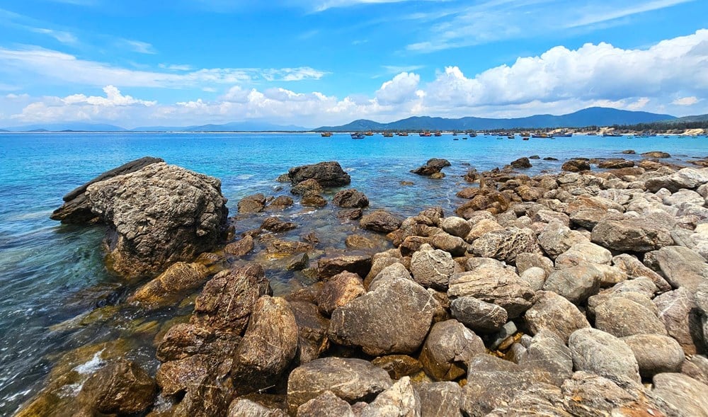 Descubra Mui Vi Rong, la majestuosa obra maestra natural de Binh Dinh - foto 3
