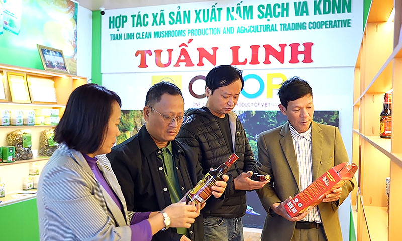 Hợp tác xã Sản xuất nấm sạch và kinh doanh nông nghiệp Tuấn Linh, doanh nghiệp “siêu nhỏ” sẵn sàng đón nhận cơ hội lớn từ Nghị quyết số 68.