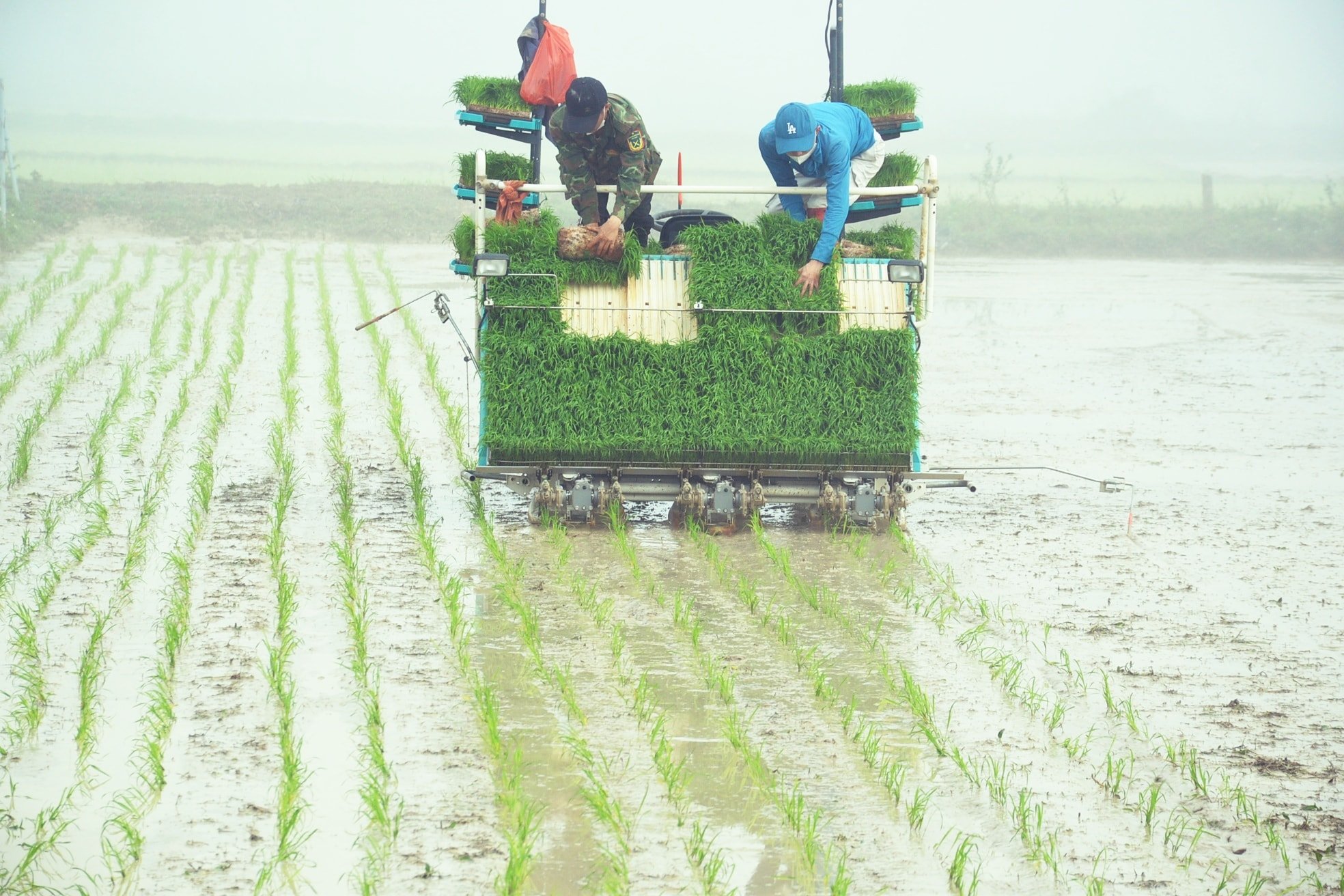 Nhiều HTX trên địa bàn tỉnh mua sắm máy cấy phục vụ bà con nông dân đẩy nhanh tiến độ mùa vụ. Ảnh Xuân Hoàng