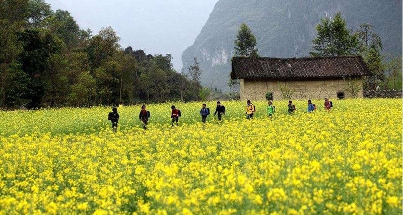 16.11._quyen_luyen_moc_chau.jpg