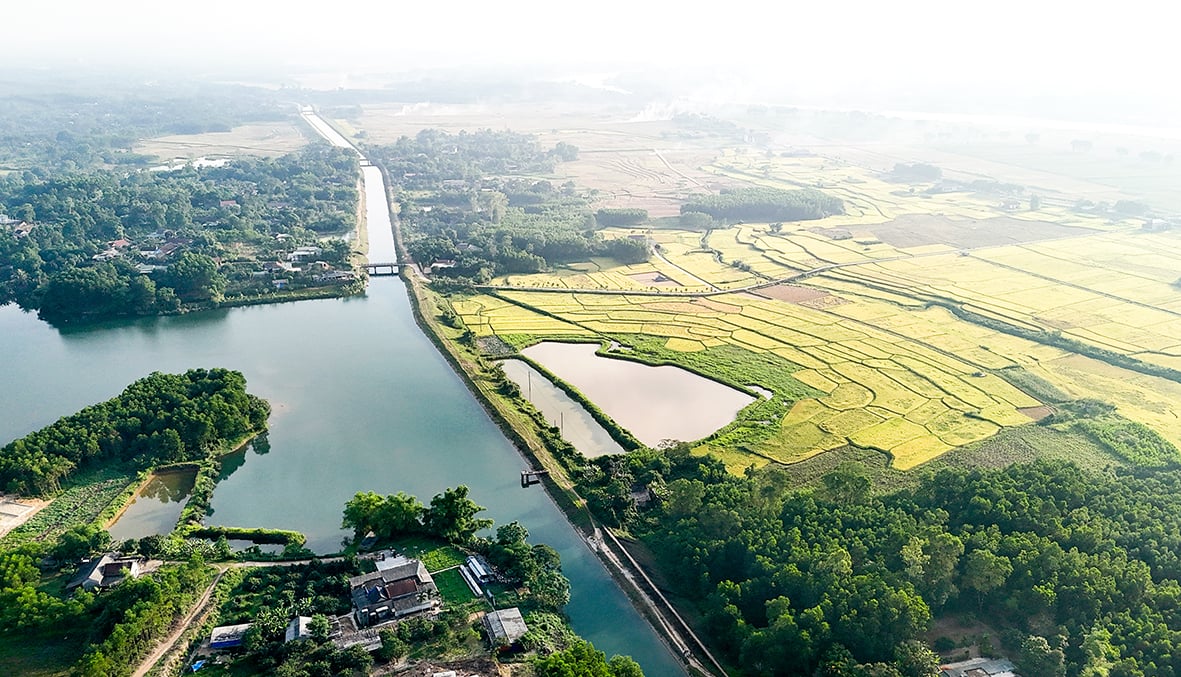 Người của hai quê