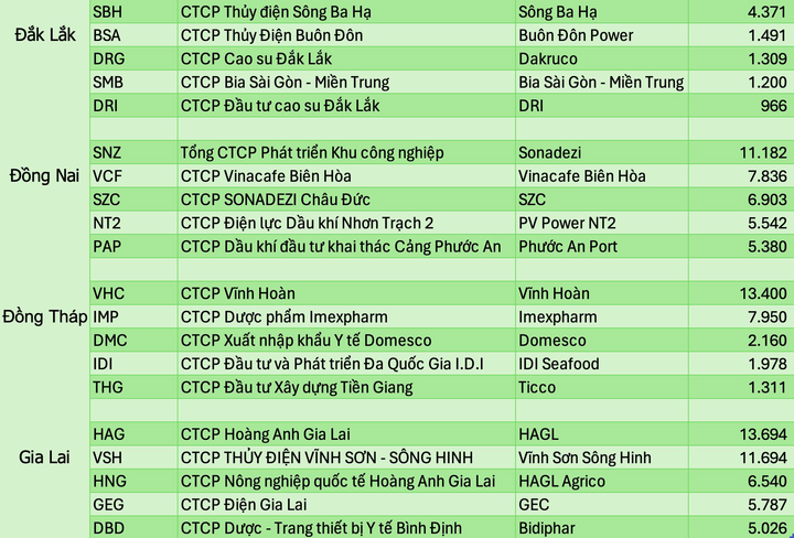 Những công ty lớn nhất trên sàn chứng khoán của 34 tỉnh thành sau sáp nhập - 4