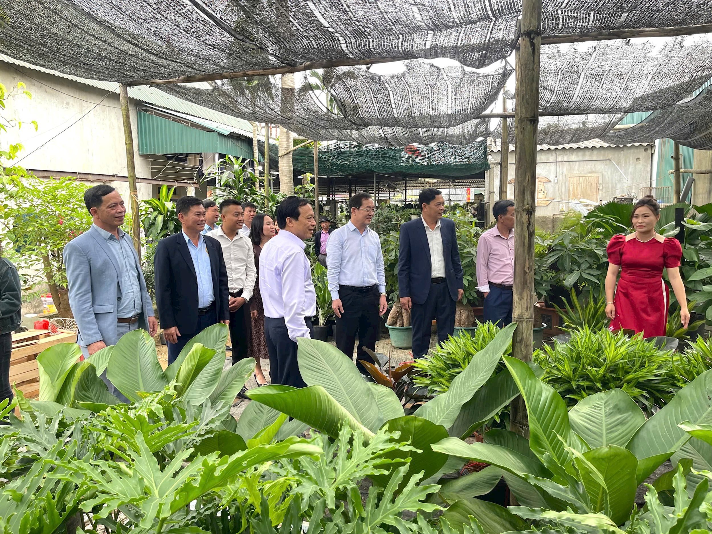gen-h-Lãnh đạo Hội Nông dân tỉnh thăm làng hoa cây cảnh Nghi Ân