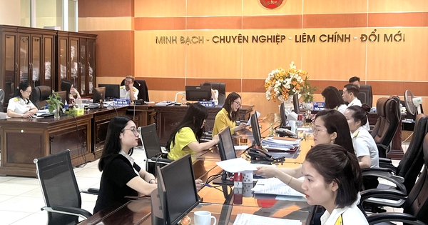 Tạm dừng hệ thống thuế điện tử từ ngày 27-6 đến 1-7