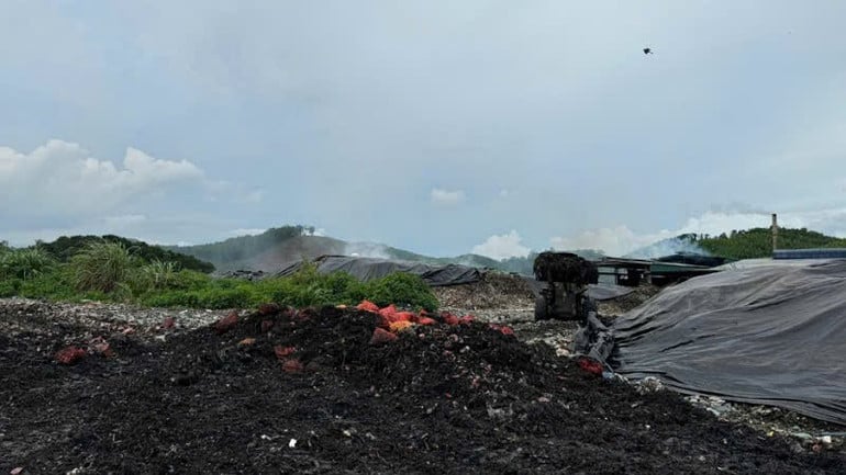 ngao-3.jpg