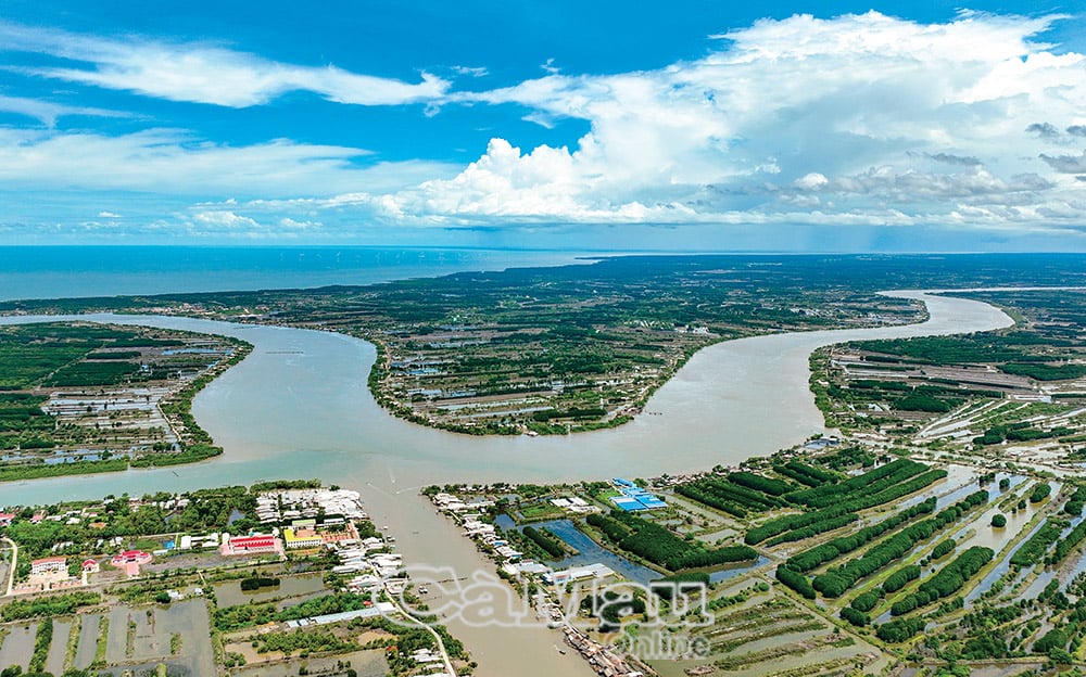 Dòng sông Tam Giang, Năm Căn. Ảnh: HUỲNH LÂM