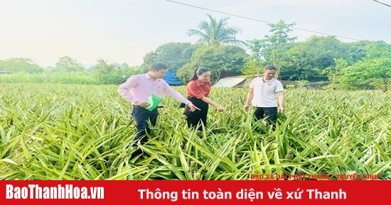 Bảo đảm hoạt động tín dụng chính sách ổn định, thông suốt
