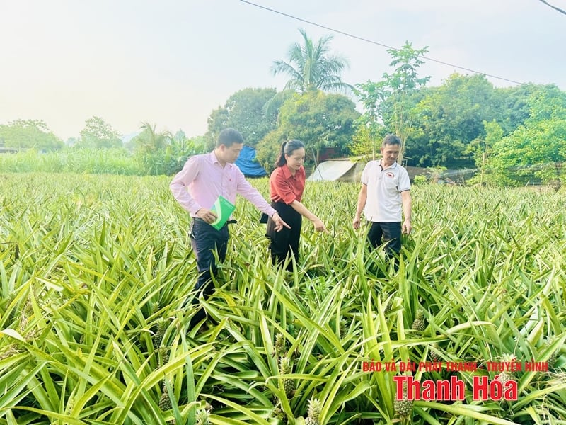 ធានាបាននូវប្រតិបត្តិការគោលនយោបាយឥណទានប្រកបដោយស្ថិរភាព និងរលូន