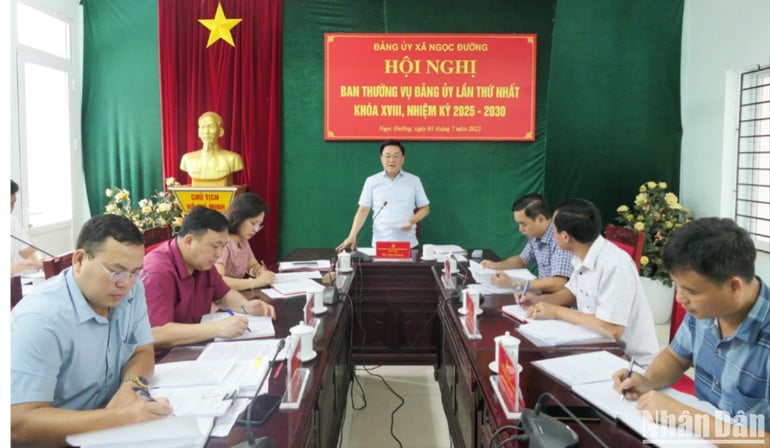 anh-6-3167.jpg