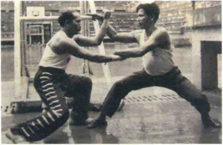 kung fu - Ảnh 3.
