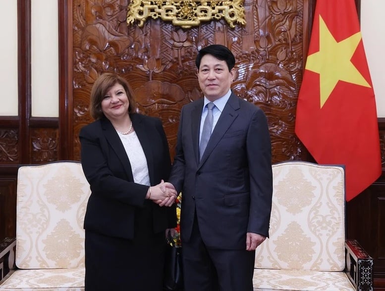 Chủ tịch nước Lương Cường tiếp Đại sứ Ai Cập đến chào từ biệt- Ảnh 1.