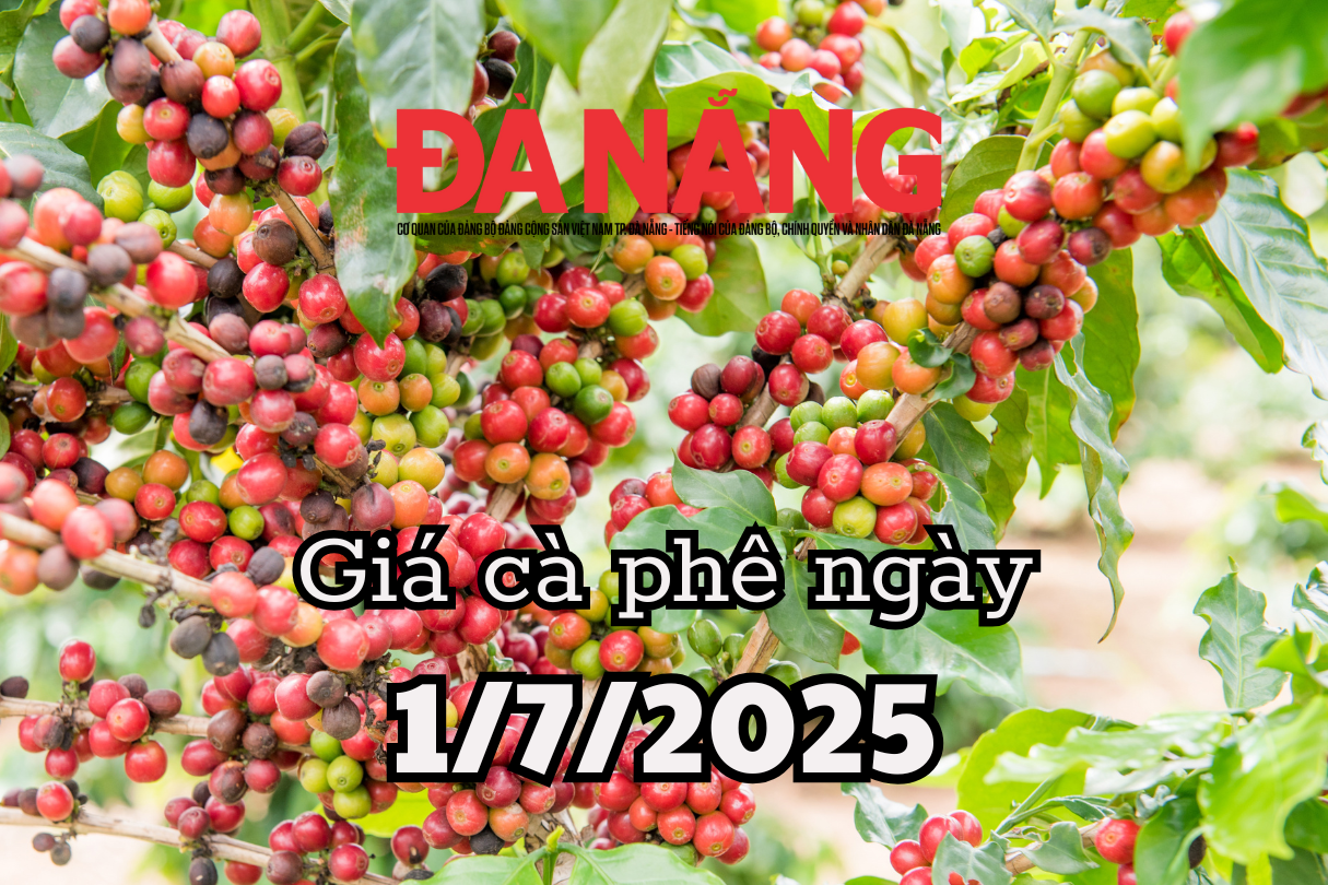 Giá cà phê hôm nay 1 7 2025 phá đảo thị trường toàn cầu, phá vỡ mọi dự báo
