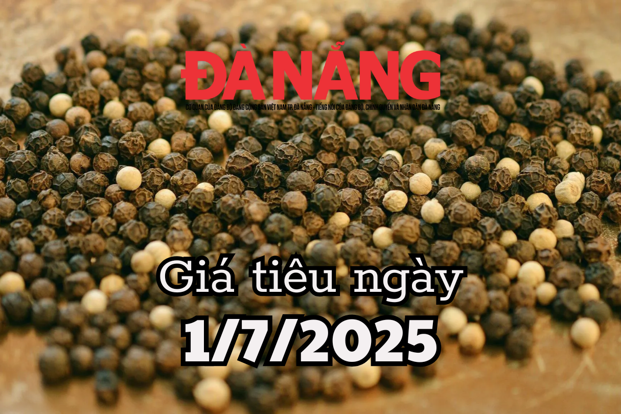 Tin tức, dự báo giá tiêu ngày mai 1 7 2025 xuyên thủng trần, đạt 140,000 đồng kg