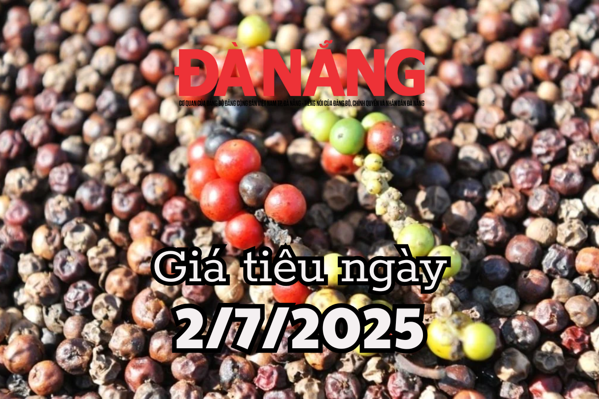 Tin tức, dự báo giá tiêu ngày mai 2 7 2025 nóng ran, tăng mạnh nếu đơn hàng Trung Quốc về