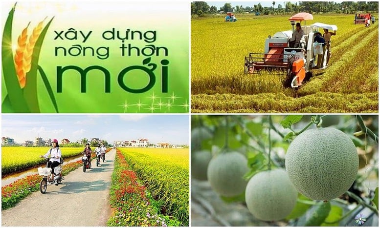 Thực hiện 