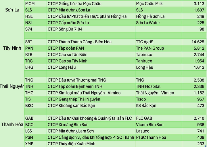 Những công ty lớn nhất trên sàn chứng khoán của 34 tỉnh thành sau sáp nhập - 7