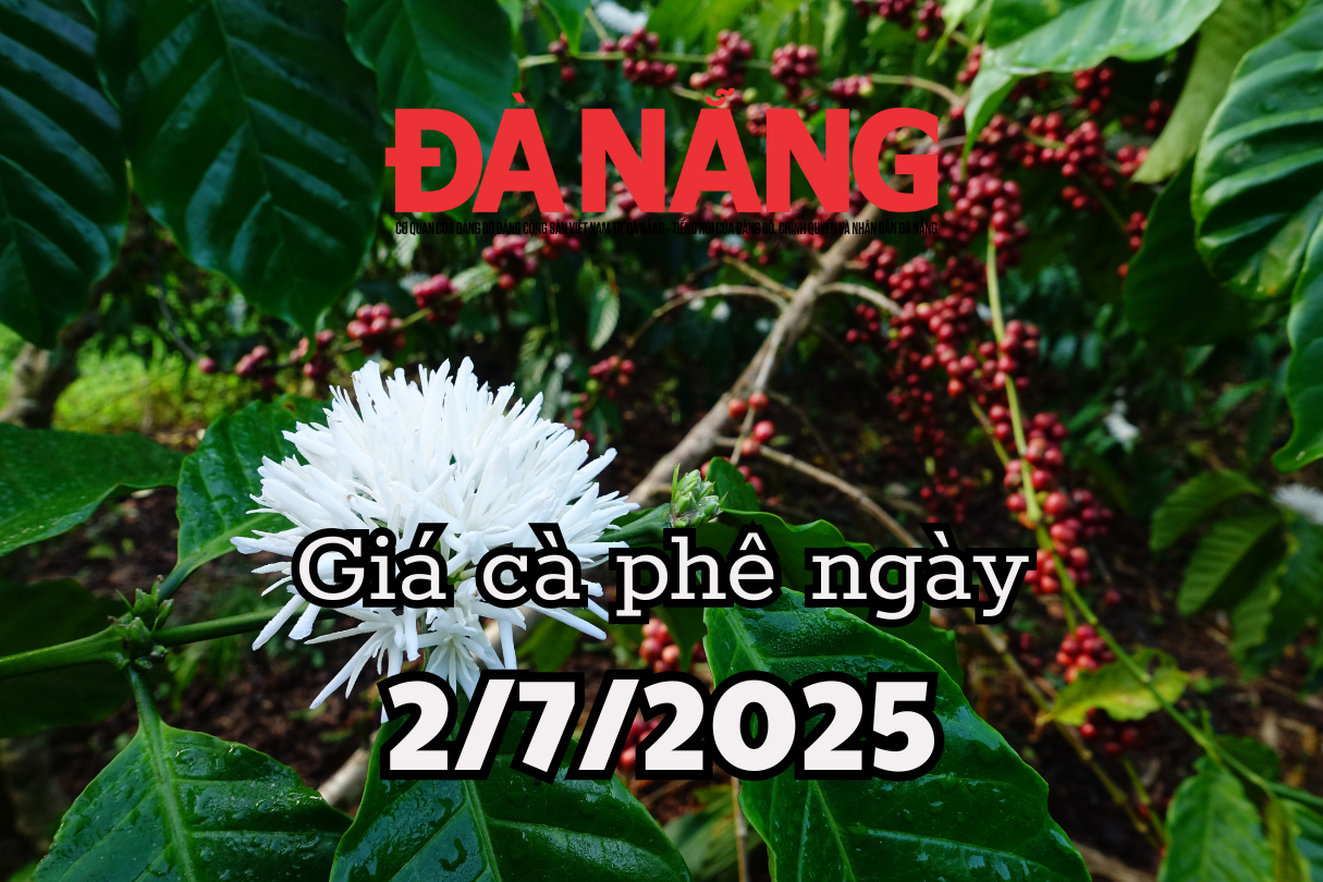 Tin tức, dự báo giá cà phê ngày mai 2 7 2025 ổn định nhờ nguồn cung siết chặt
