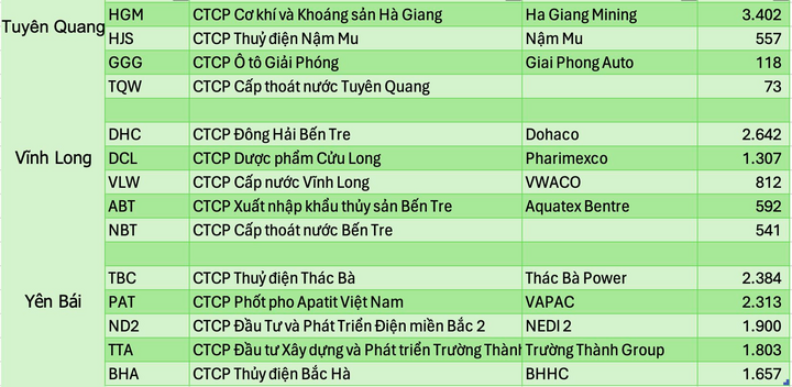 Những công ty lớn nhất trên sàn chứng khoán của 34 tỉnh thành sau sáp nhập - 8