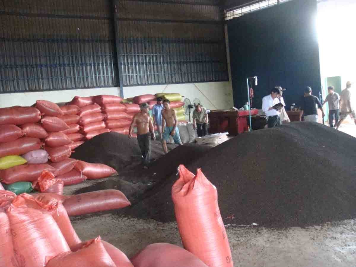 Giá tiêu hôm nay 1/7/2025: Tăng giá cực mạnh
