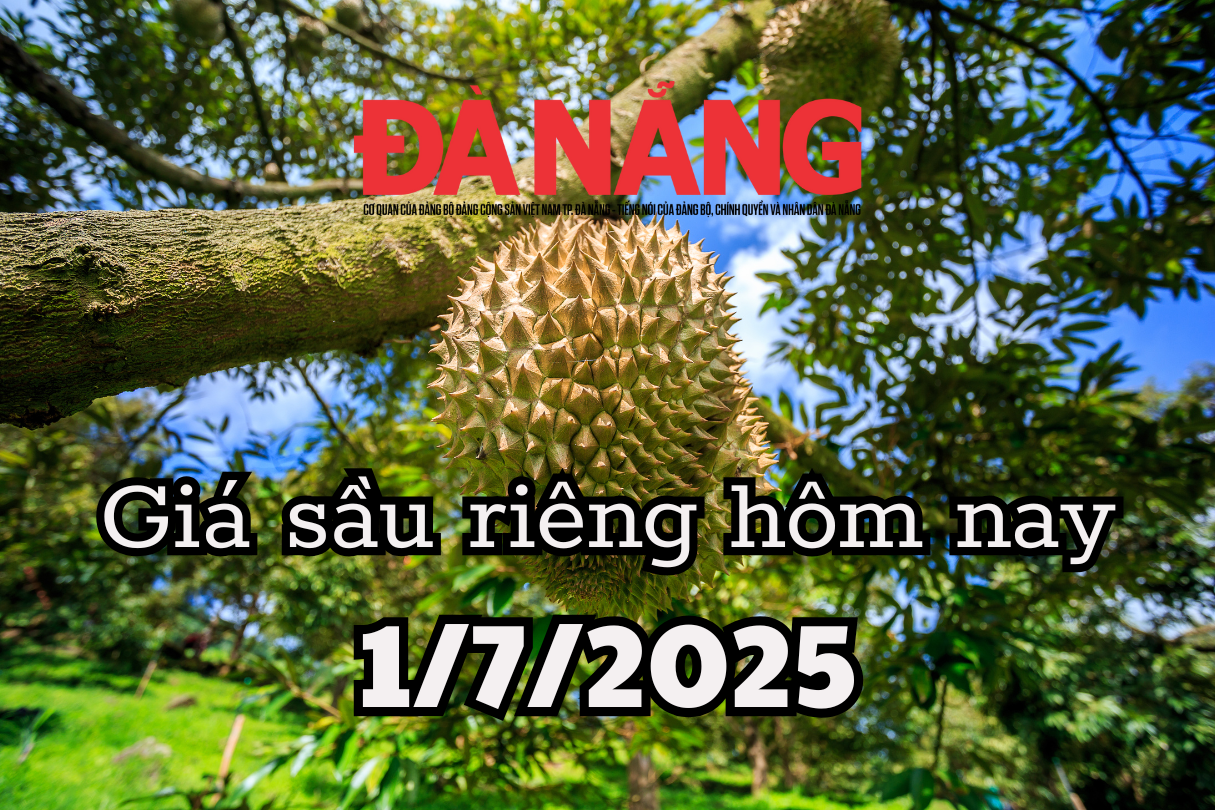 Giá sầu riêng hôm nay 1 7 2025 dậm chân tại chỗ, Trung Quốc tiếp tục làm khó
