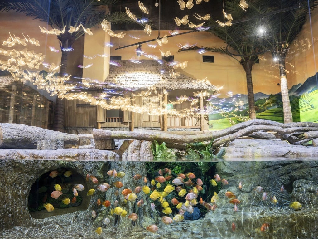 Thủy cung Lotte World Hà Nội đón vị khách thứ 1 triệu - 2