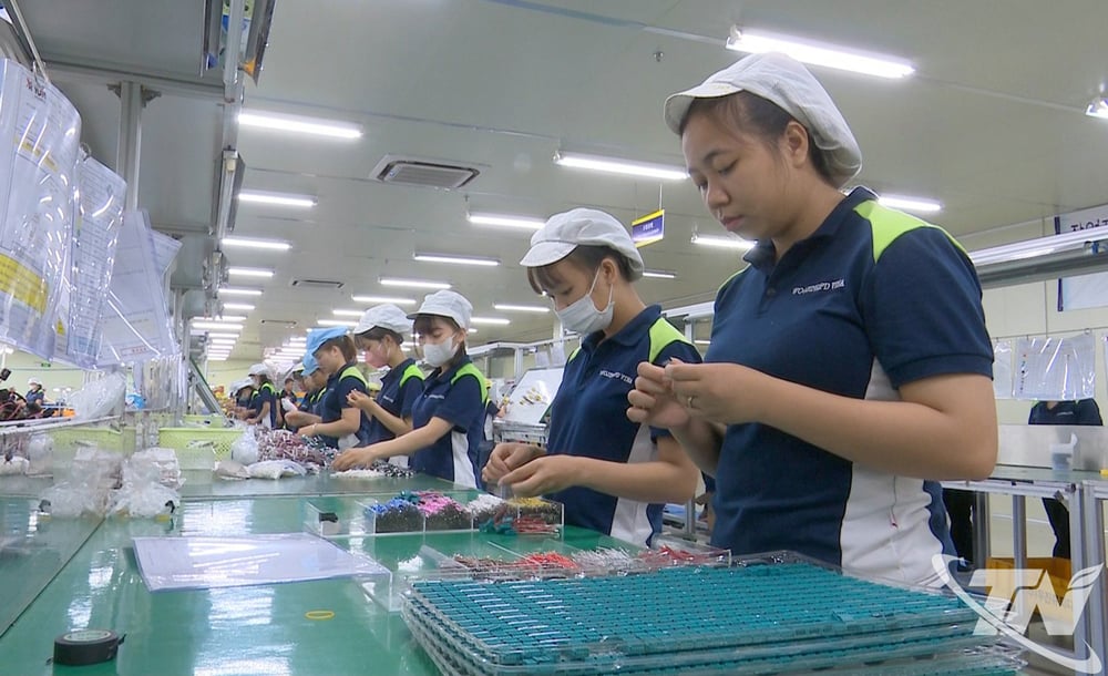 Sản xuất thiết bị dây dẫn điện tại Công ty TNHH Woojinqpd Vina tại Khu Công nghiệp Điềm Thụy.