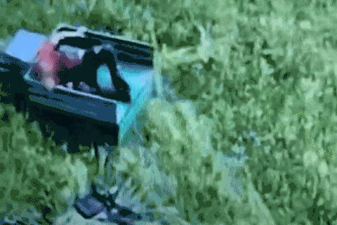 7.gif